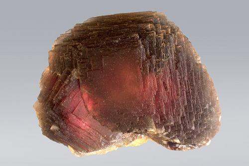 Fluorite<br />Summit cleft, Weißeck Mountain area, Murwinkel, Lungau, Salzburg, Austria<br />9,5 x 7,5 cm<br /> (Author: Gerhard Brandstetter)