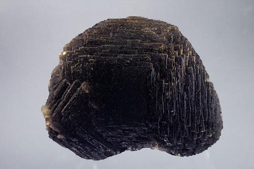 Fluorite<br />Summit cleft, Weißeck Mountain area, Murwinkel, Lungau, Salzburg, Austria<br />9,5 x 7,5 cm<br /> (Author: Gerhard Brandstetter)