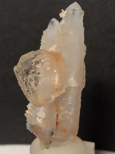 Fluorite, Quartz<br />Campiano Mine, Montieri, Grosseto Province, Tuscany, Italy<br />42 x 18 mm<br /> (Author: Sante Celiberti)