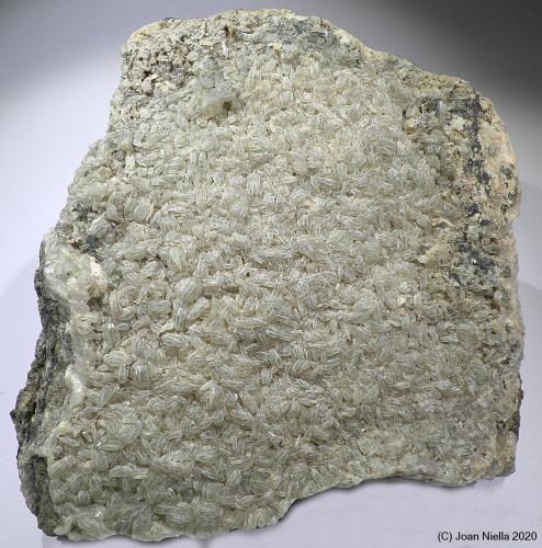 Prehnita<br />Gerri de la Sal, Baix Pallars, Comarca Pallars Sobirà, Lérida / Lleida, Cataluña / Catalunya, España<br />7 x 10 cm<br /> (Autor: Joan Niella)