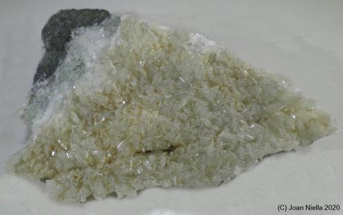 Prehnita<br />Gerri de la Sal, Baix Pallars, Comarca Pallars Sobirà, Lérida / Lleida, Cataluña / Catalunya, España<br />7 x 5 cm<br /> (Autor: Joan Niella)