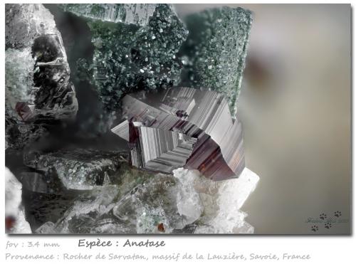 Anatase<br />Rocher de Sarvatan, Macizo La Lauzière, Saint-Jean-de-Maurienne, Saboya, Auvergne-Rhône-Alpes, Francia<br />fov 3.4 mm<br /> (Author: ploum)