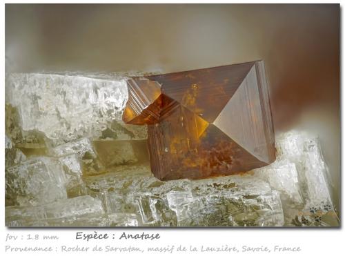 Anatase<br />Rocher de Sarvatan, Macizo La Lauzière, Saint-Jean-de-Maurienne, Saboya, Auvergne-Rhône-Alpes, Francia<br />fov 1.8 mm<br /> (Author: ploum)