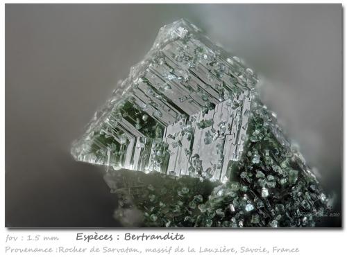 Bertrandite<br />Rocher de Sarvatan, La Lauzière Massif, Saint-Jean-de-Maurienne, Savoie, Auvergne-Rhône-Alpes, France<br />fov 1.5 mm<br /> (Author: ploum)