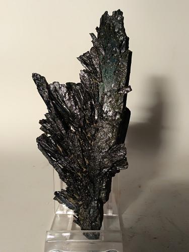 Vivianite<br />Santa Barbara Mine, Cavriglia, Valdarno (Val d'Arno), Arezzo Province, Tuscany, Italy<br />13 x 6 cm<br /> (Author: Sante Celiberti)