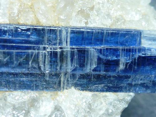 Cianita<br />Barra de Salinas, Coronel Murta, Vale do Jequitinhonha, Minas Gerais, Brasil<br />6 x 5 cm.<br /> (Autor: javier ruiz martin)