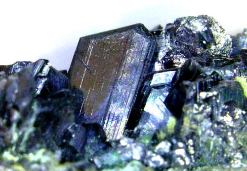 Chalcocita (Calcosina)<br />Mina Las Cruces, Gerena-Guillena-Salteras, Comarca Sierra Norte, Sevilla, Andalucía, España<br />Cristal de 7 mm.<br /> (Autor: Antonio P. López)