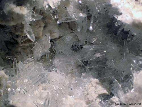 Celestina<br />Yacimiento de Celestinas, Torà, Comarca Solsonès, Lérida / Lleida, Cataluña / Catalunya, España<br />5 x 4 cm (CV)<br /> (Autor: Joan Niella)