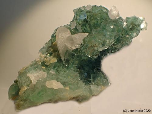 Fluorita<br />Mina Okorusu, Distrito Otjiwarongo, Región Otjozondjupa, Namibia<br />5 x 10 cm<br /> (Autor: Joan Niella)