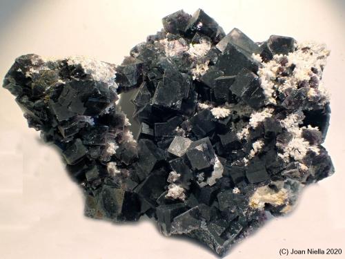 Fluorita<br />Mina Okorusu, Distrito Otjiwarongo, Región Otjozondjupa, Namibia<br />9 x 8 cm<br /> (Autor: Joan Niella)