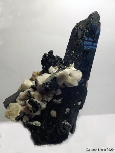 Aegirina<br />Mount Malosa, Zomba District, Malawi<br />10 x 5 cm<br /> (Autor: Joan Niella)