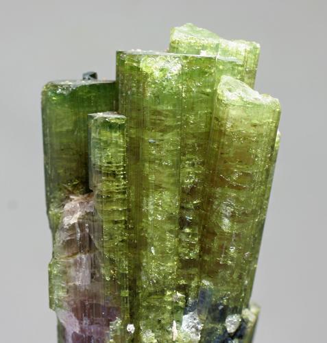 Elbaita (variedad sandia)<br />Araçuaí, Vale do Jequitinhonha, Minas Gerais, Brasil<br />70x40x100 mm<br /> (Autor: Ramon A  Lopez Garcia)