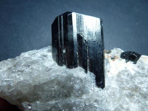 Schorlo (Chorlo), Cuarzo<br />Anjanabonoina, Ambohimanambola, Distrito Betafo, Región Vakinankaratra, Madagascar<br />9 x 8 cm. la pieza, 4 cm. el cristal.<br /> (Autor: javier ruiz martin)