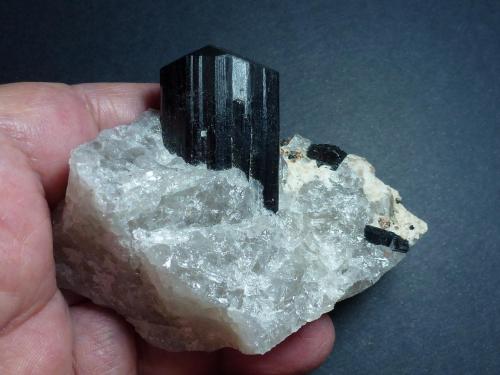Schorlo (Chorlo), Cuarzo<br />Anjanabonoina, Ambohimanambola, Distrito Betafo, Región Vakinankaratra, Madagascar<br />9 x 8 cm. la pieza, 4 cm. el cristal.<br /> (Autor: javier ruiz martin)