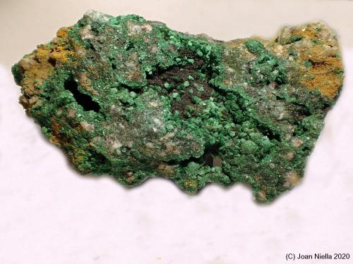 Pseudomalaquita<br />Girilambone Mine, Girilambone, Canbelego County, New South Wales, Australia<br />70 x 65 mm<br /> (Autor: Joan Niella)