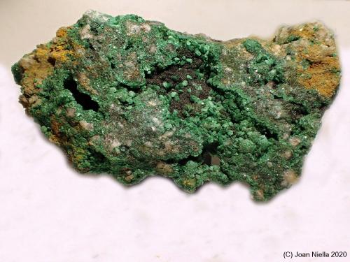 Pseudomalaquita<br />Mina Girilambone, Girilambone, Condado Canbelego, Nueva Gales del Sur, Australia<br />70 x 65 mm<br /> (Autor: Joan Niella)
