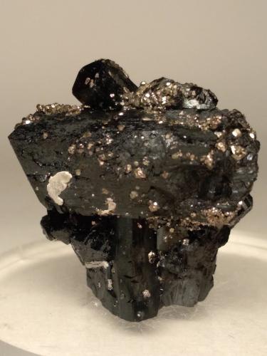 Ilvaite, Pyrite<br />Campiglia Marittima, Campigliese, Livorno Province, Toscana, Italy<br />32,5 x 34,2 mm<br /> (Author: Sante Celiberti)