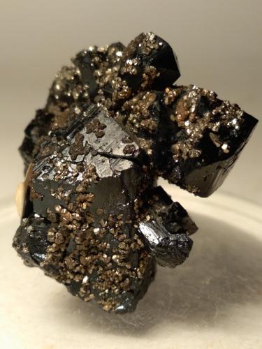 Ilvaite, Pyrite<br />Campiglia Marittima, Campigliese, Provincia Livorno, Toscana, Italia<br />32,5 x 34,2 mm<br /> (Author: Sante Celiberti)