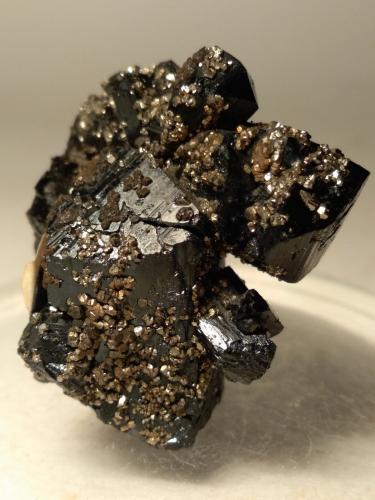 Ilvaite, Pyrite<br />Campiglia Marittima, Campigliese, Livorno Province, Toscana, Italy<br />32,5 x 34,2 mm<br /> (Author: Sante Celiberti)