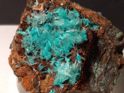Aurichalcite<br />Campiglia Marittima, Campigliese, Provincia Livorno, Toscana, Italia<br />65 x 65 mm<br /> (Author: Sante Celiberti)