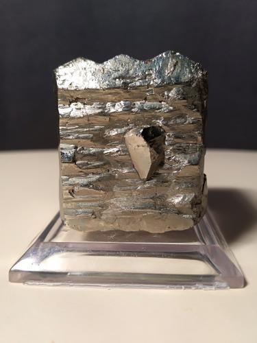 Pyrite<br />Gavorrano Mine, Gavorrano, Grosseto Province, Tuscany, Italy<br />32,5 x 29,3 mm<br /> (Author: Sante Celiberti)