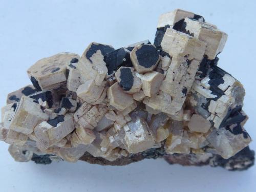 Vanadinita (variedad arsenical)<br />Touissit, Distrito Touissit, Provincia Jerada, Región Oriental, Marruecos<br />6 x 4 cm.<br /> (Autor: javier ruiz martin)