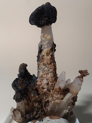 Cuarzo, óxidos de manganeso<br />Campiglia Marittima, Campigliese, Provincia Livorno, Toscana, Italia<br />64 x 37 mm<br /> (Autor: Sante Celiberti)