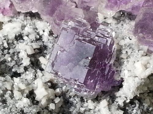 Fluorite, Dolomite<br />Shangbao Mine, Leiyang, Hengyang Prefecture, Hunan Province, China<br />12 x 8 cm<br /> (Author: Volkmar Stingl)