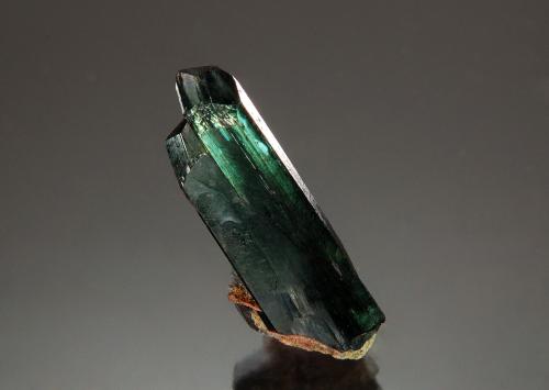 Vivianite<br />Mina Roșia Poieni, Valle Musca, Lupșa, Musca, Montes Apuseni, Alba, Transilvania, Rumanía<br />1.4 cm x 4.9 cm<br /> (Author: Michael Shaw)