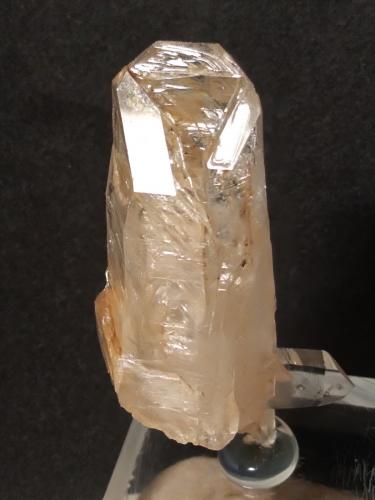 Quartz<br />Montieri, Provincia Grosseto, Toscana, Italia<br />48 x 28 mm<br /> (Author: Sante Celiberti)