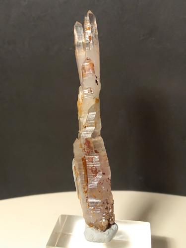 Quartz (variety scepter)<br />Fenice Capanne Mine, Massa Marittima, Grosseto Province, Tuscany, Italy<br />68 x 12 mm<br /> (Author: Sante Celiberti)
