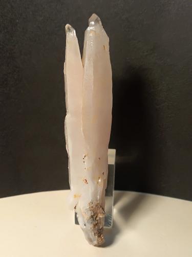 Quartz (variety scepter)<br />Fenice Capanne Mine, Massa Marittima, Grosseto Province, Tuscany, Italy<br />91 x 21 mm<br /> (Author: Sante Celiberti)