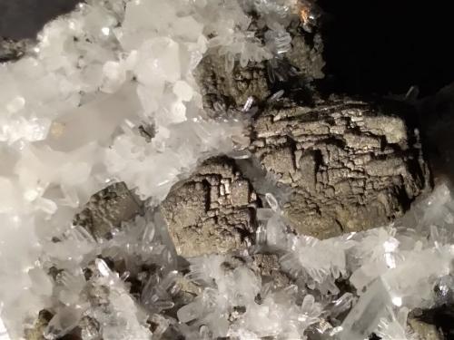Pyrite after Pyrrhotite, Quartz<br />Mina Niccioleta, Massa Marittima, Provincia Grosseto, Toscana, Italia<br />71 x 55 mm<br /> (Author: Sante Celiberti)