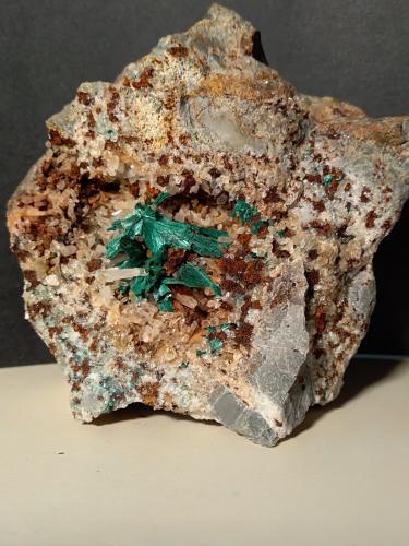 Malaquita<br />Fenice Capanne Mine, Massa Marittima, Grosseto Province, Tuscany, Italy<br />79 x 79 mm<br /> (Autor: Sante Celiberti)