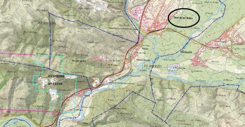 Concesiones del Grupo Minero "Antonina" sobre Servicio WMS "Cartografía del IGN" (Mapa Topográfico Nacional a escala 1:25.000). Detalle.
«© Instituto Geográfico Nacional de España» (Autor: Inma)