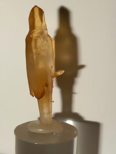 Quartz (variety scepter)<br />Fenice Capanne Mine, Massa Marittima, Grosseto Province, Tuscany, Italy<br />50 x 15 mm<br /> (Author: Sante Celiberti)