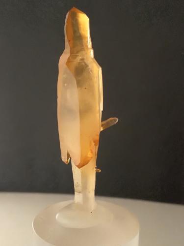 Quartz (variety scepter)<br />Fenice Capanne Mine, Massa Marittima, Grosseto Province, Tuscany, Italy<br />50 x 15 mm<br /> (Author: Sante Celiberti)