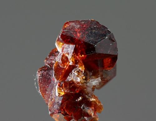 Fluor-uvita (Grupo Turmalina)<br />Serra das Éguas, Brumado, Bahia, Región Nordeste, Brasil<br />10x15mm<br /> (Autor: Ramon A  Lopez Garcia)