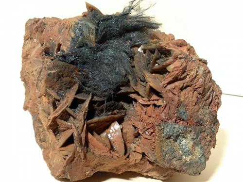 Boulangerite, Siderite<br />Bottino Mine, Sant'Anna (Sant'Anna di Stazzema), Apuan Alps, Stazzema Municipality, Lucca Province, Tuscany, Italy<br />11 x 9 cm<br /> (Author: Sante Celiberti)