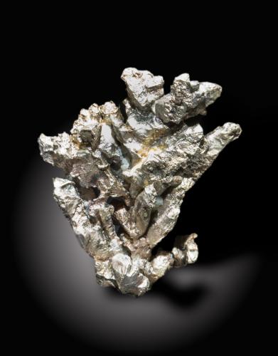 Silver<br />Mina Silver King, Rambla Comstock, zona Pico Kings Crown, Montes Pinal, Distrito Pioneer, Condado Pinal, Arizona, USA<br />2.5 x 3.5 x 2 cm<br /> (Author: SWK)