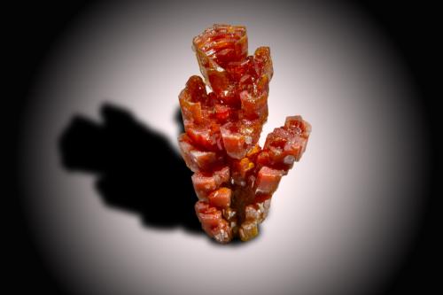 Vanadinite<br />Pure Potential Mine, Silver District, Trigo Mountains, La Paz County, Arizona, USA<br />2 x 3.2 x 2 cm<br /> (Author: SWK)