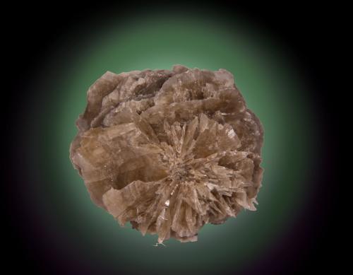 Gypsum<br />Villalbilla, Comarca Cuenca del Henares, Community of Madrid, Spain<br />55mm x 50mm x 40mm<br /> (Author: Firmo Espinar)