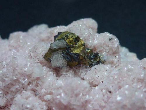 Rodocrosita, Calcopirita, Cuarzo<br />Huaron mining district, Huayllay District, Pasco Province, Pasco Department, Peru<br />6 x 5 cm.<br /> (Autor: javier ruiz martin)