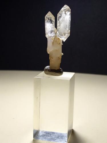 Quartz (variety scepter)<br />Fenice Capanne Mine, Massa Marittima, Grosseto Province, Tuscany, Italy<br />31 x 12 mm<br /> (Author: Sante Celiberti)