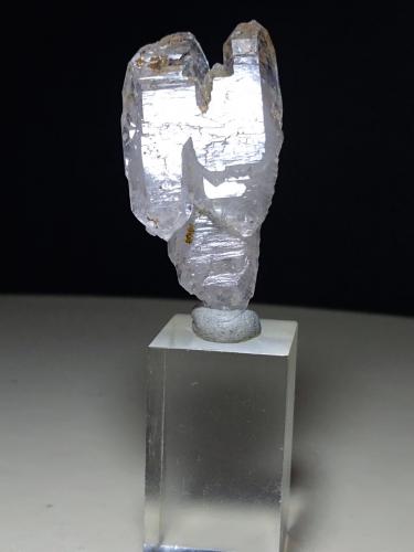 Quartz (variety scepter)<br />Fenice Capanne Mine, Massa Marittima, Grosseto Province, Tuscany, Italy<br />39 x 20 mm<br /> (Author: Sante Celiberti)