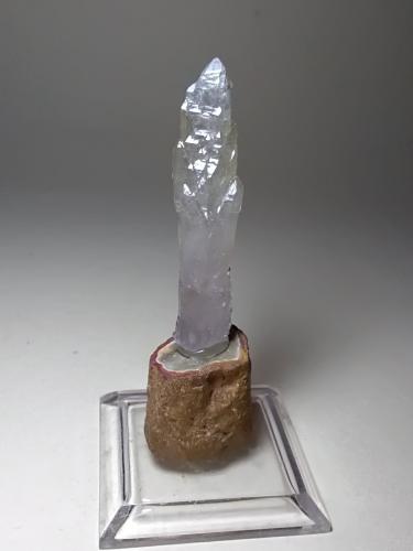 Quartz (variety scepter)<br />Fenice Capanne Mine, Massa Marittima, Grosseto Province, Tuscany, Italy<br />51 x 12 mm<br /> (Author: Sante Celiberti)