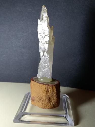 Quartz (variety scepter)<br />Fenice Capanne Mine, Massa Marittima, Grosseto Province, Tuscany, Italy<br />51 x 12 mm<br /> (Author: Sante Celiberti)