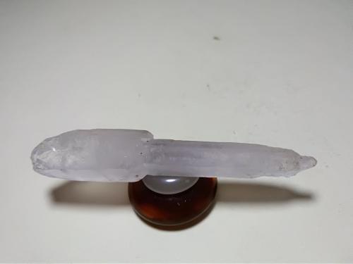 Quartz (variety scepter)<br />Fenice Capanne Mine, Massa Marittima, Grosseto Province, Tuscany, Italy<br />60 x 12 mm<br /> (Author: Sante Celiberti)