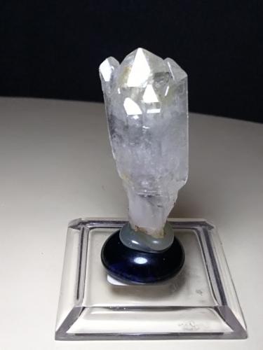 Quartz (variety scepter)<br />Fenice Capanne Mine, Massa Marittima, Grosseto Province, Tuscany, Italy<br />43 x 16 mm<br /> (Author: Sante Celiberti)