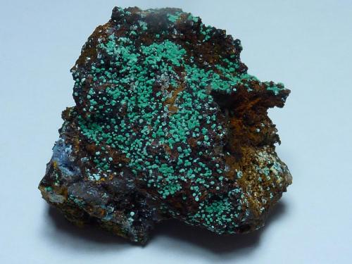 Malaquita, Alofana<br />Cala Mines, Cala, Comarca Sierra de Huelva, Huelva, Andalusia, Spain<br />3,5 x 3 cm.<br /> (Autor: javier ruiz martin)